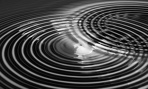 Site web Maître Célia test